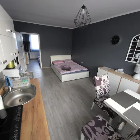 Julia Kwiatowa Apartment Leba